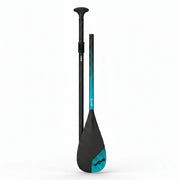 Pro Paddle 3.0